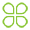 041四叶（yè）草（cǎo）.png